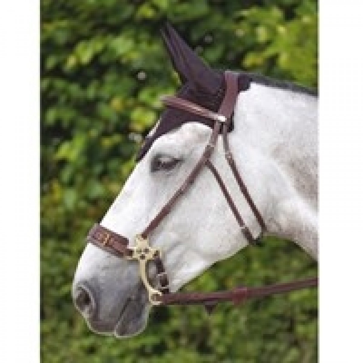 Dyón Hackamore Trense
