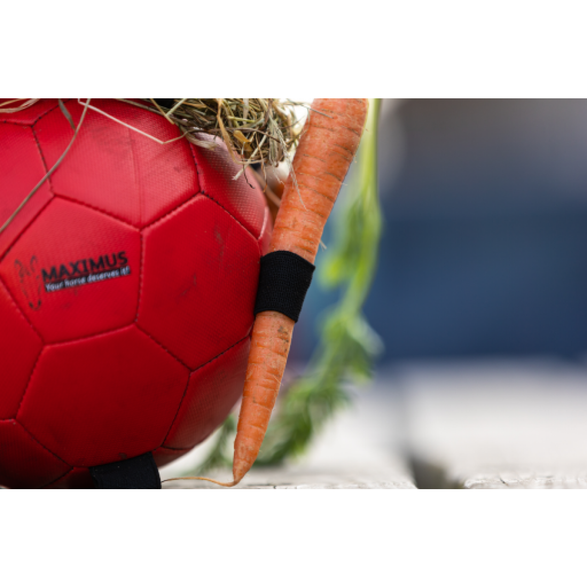 FunPlayBall-01