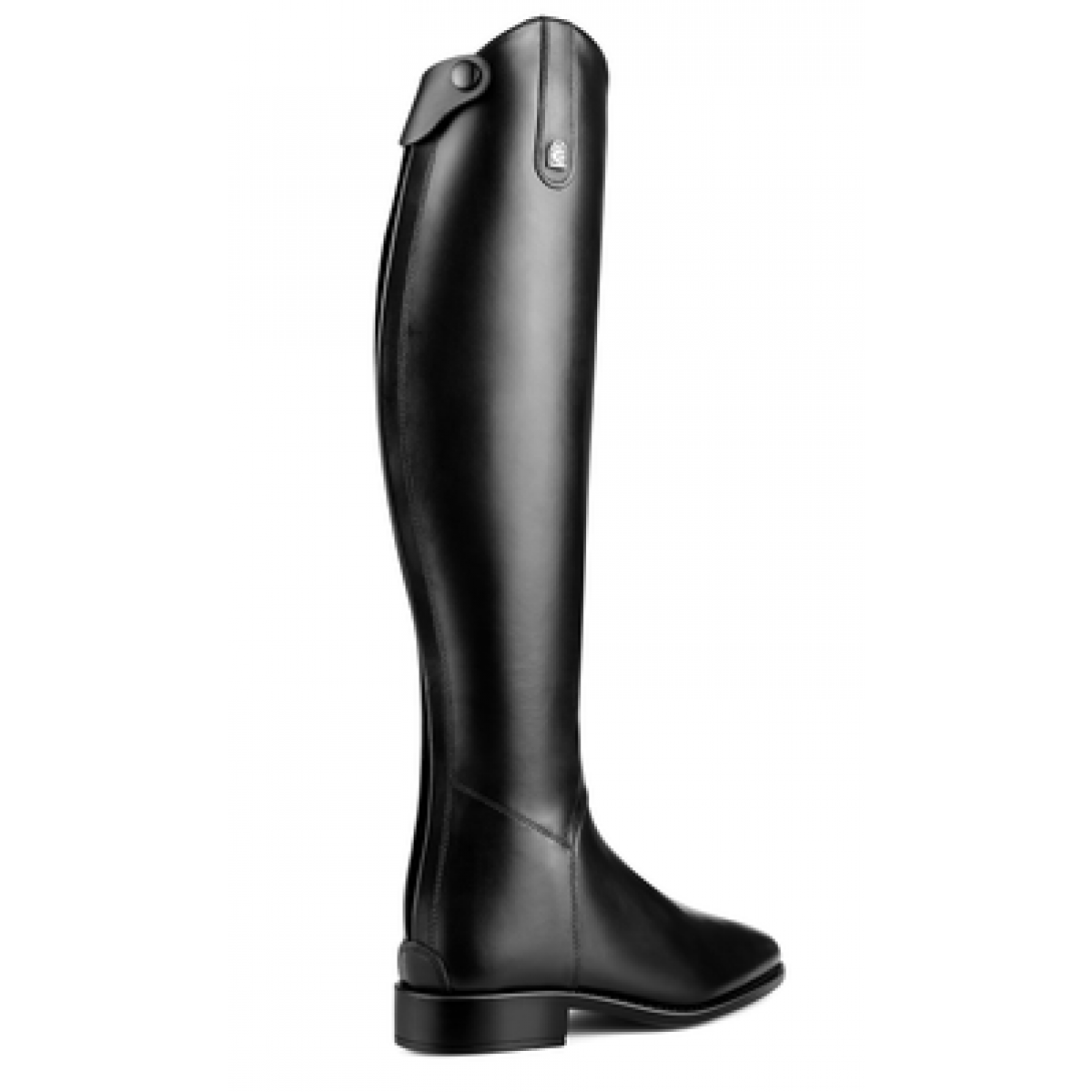 Cavallo Junior Dressur