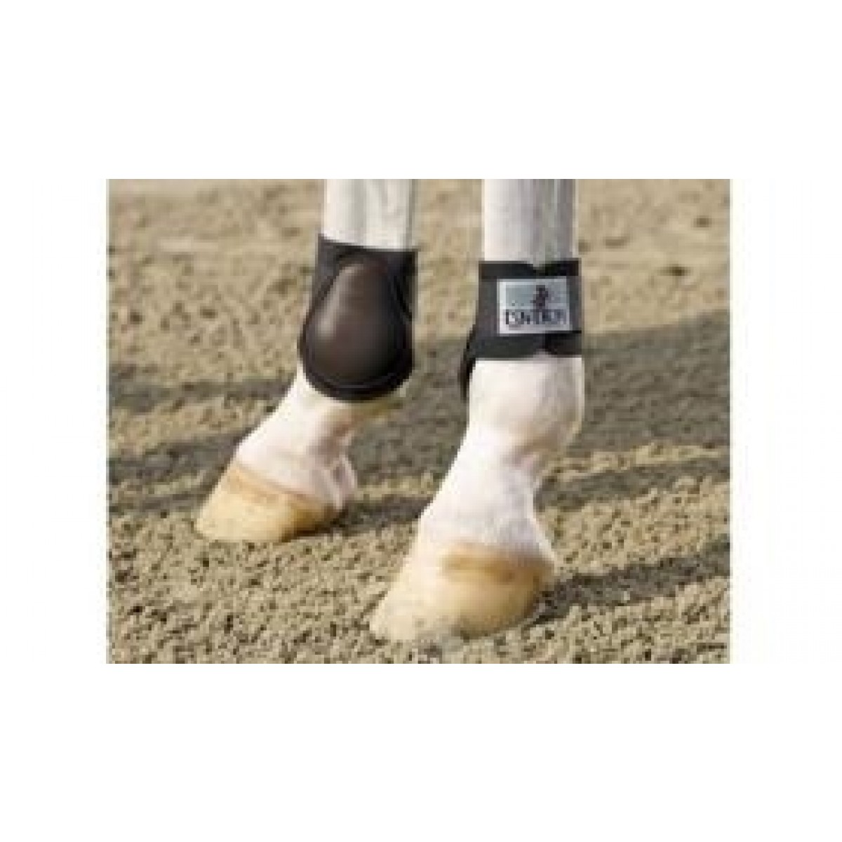 Eskadron Protection Spring Bagben Full