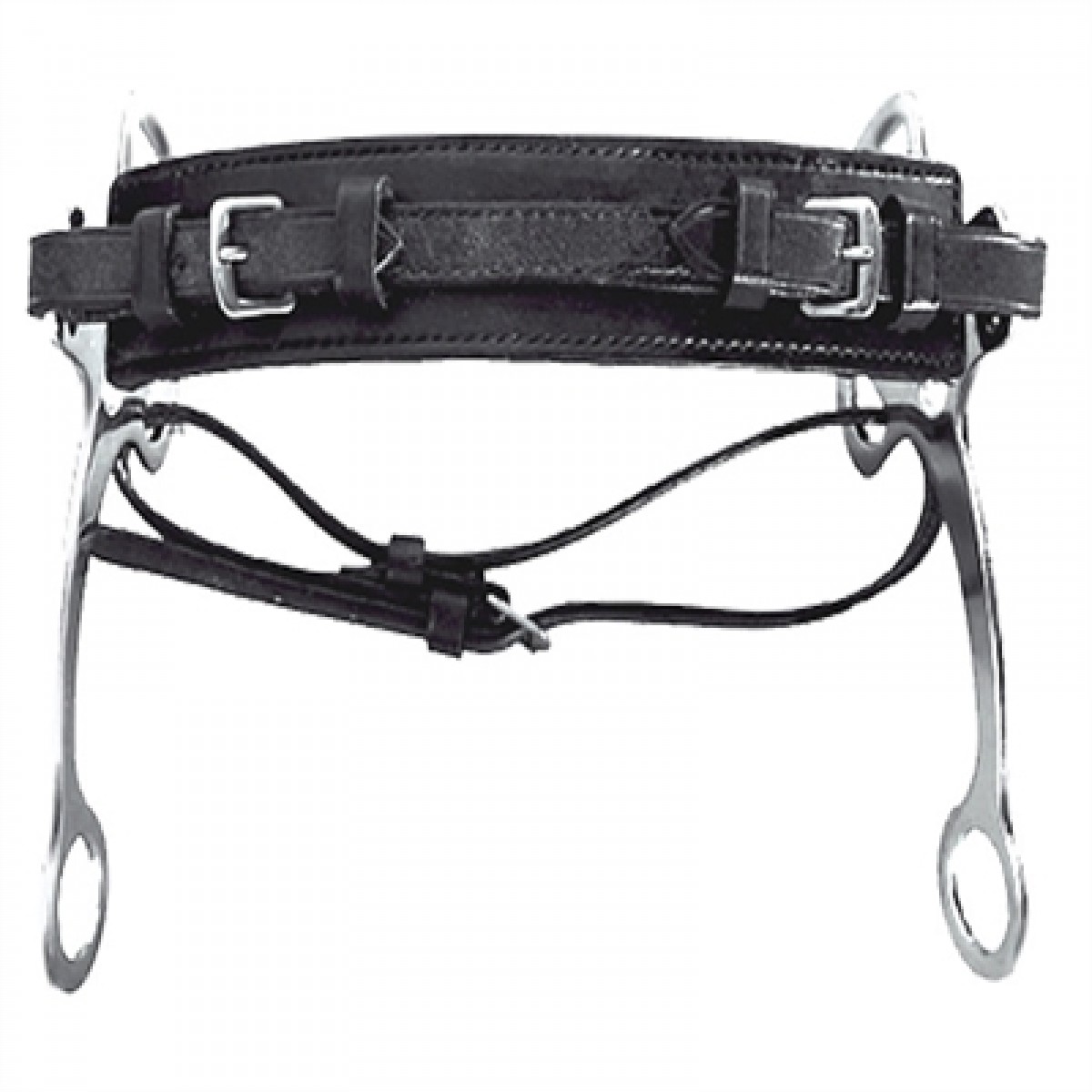 Hackamore-00