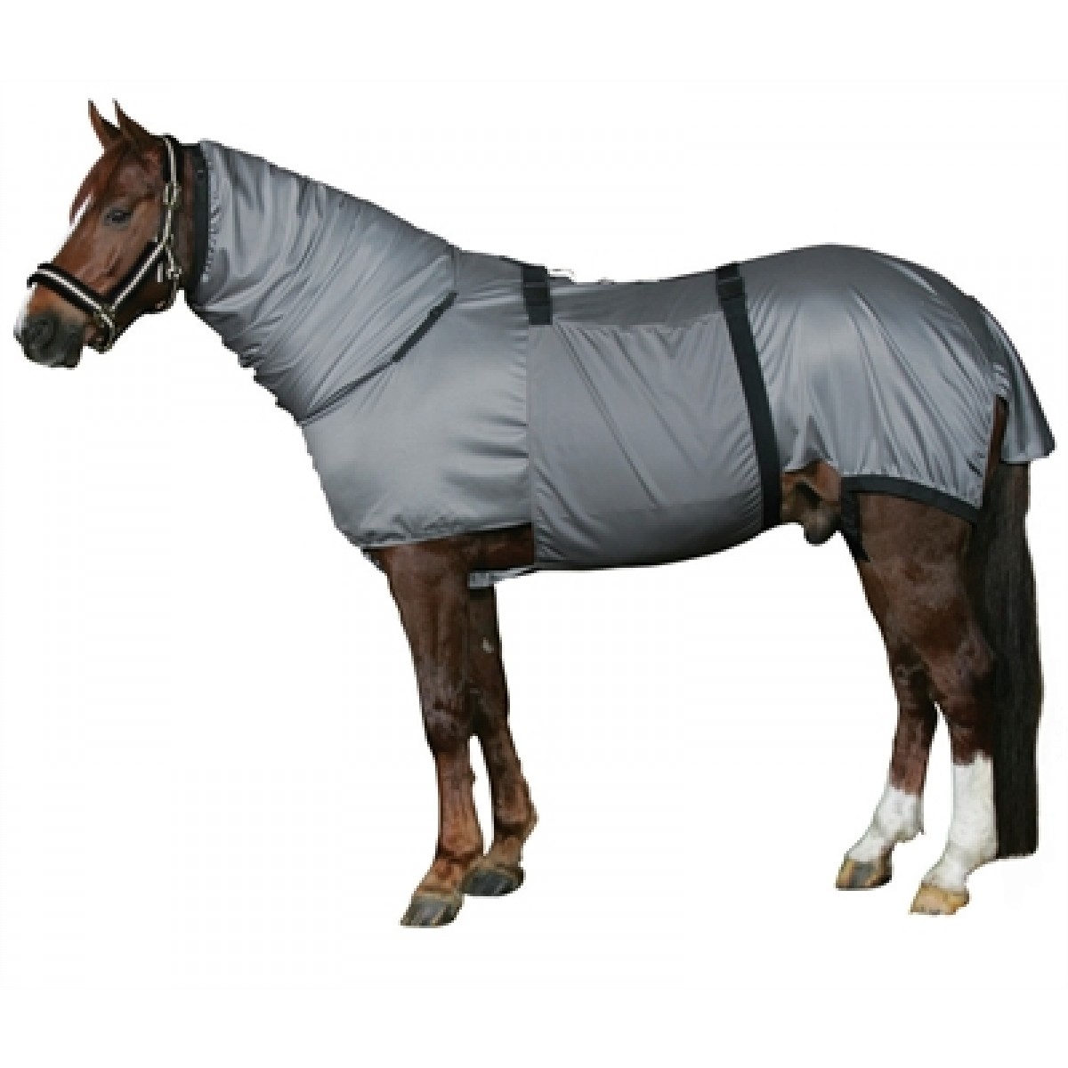 HorseGuard Eksemdækken