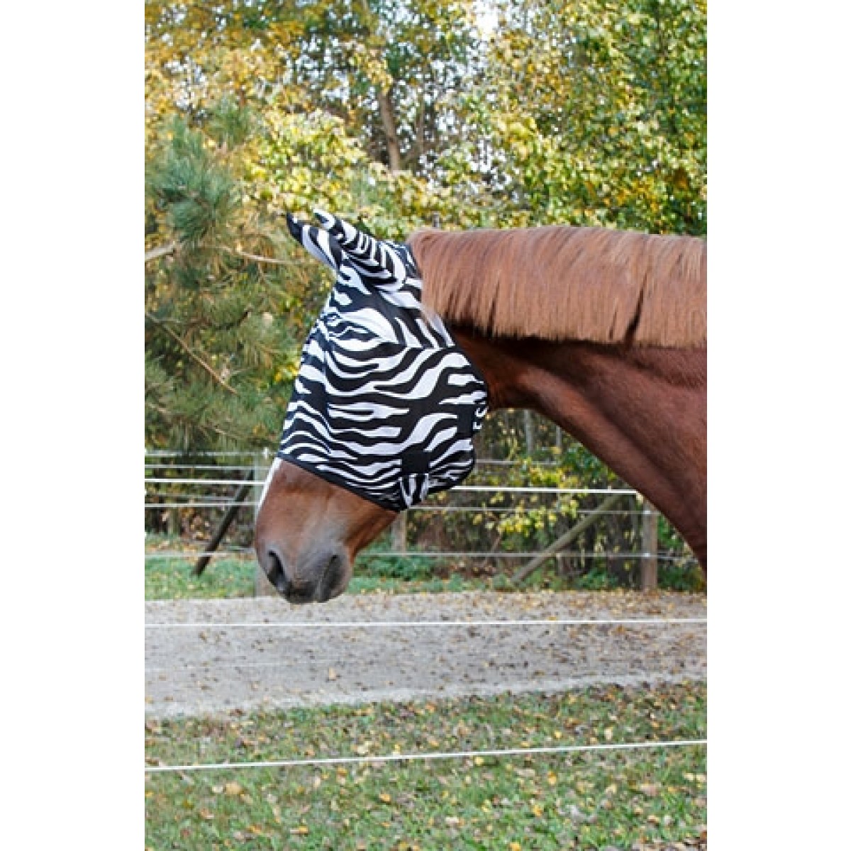 CovallieroFluemaskeZebra-00
