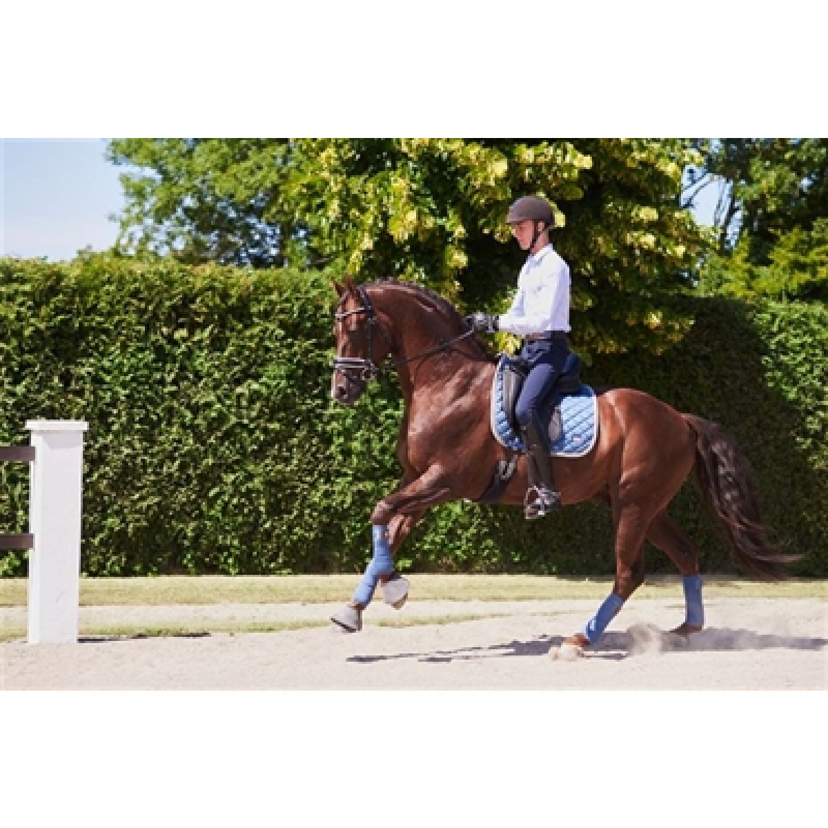 Rider By Horse Air1 DR Underlag 2 Pipe - Indigo blue