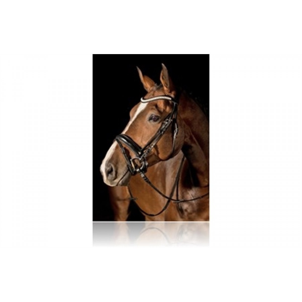SD Crown Trense Romanze