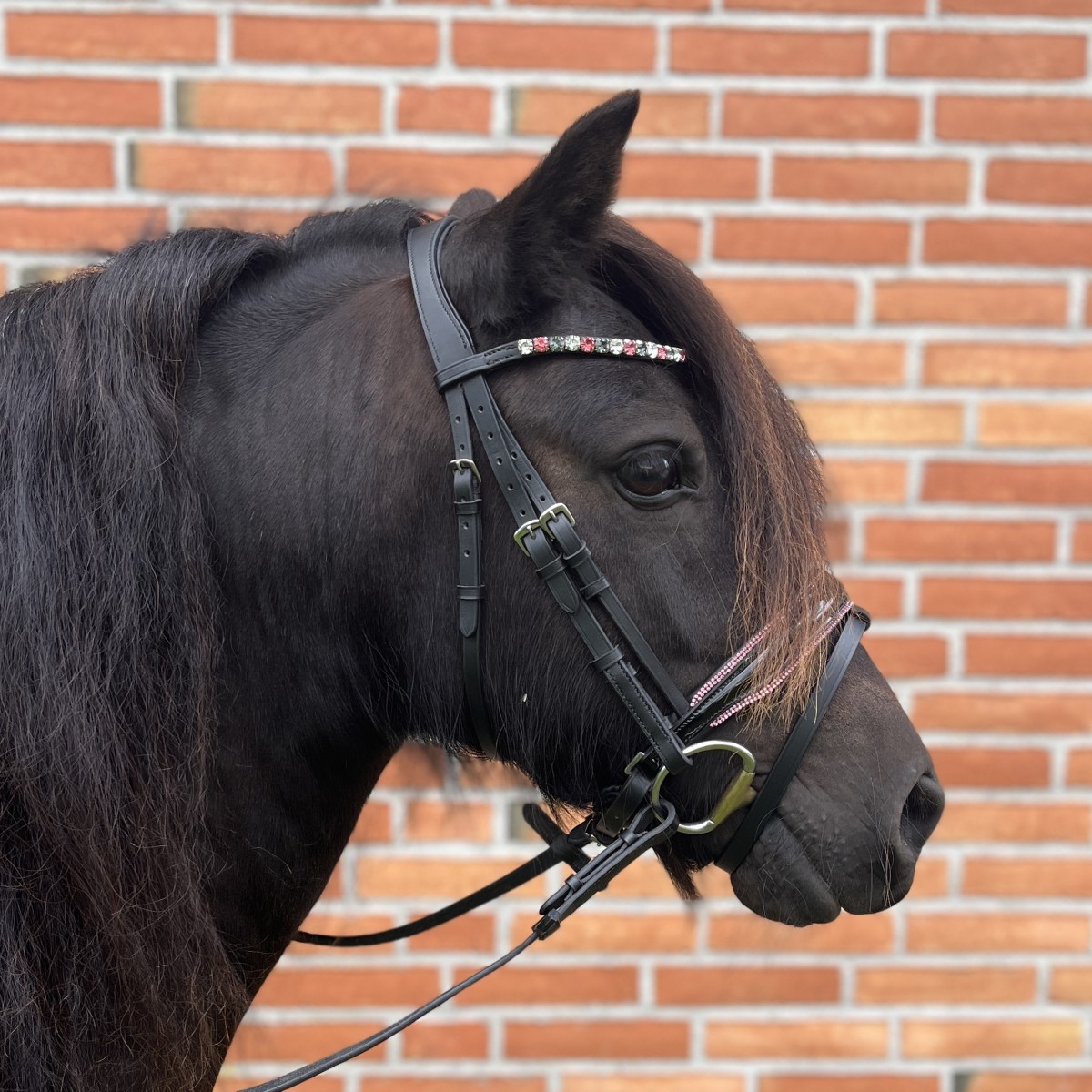 By Weber Shetlands Hovedtøj Dolly