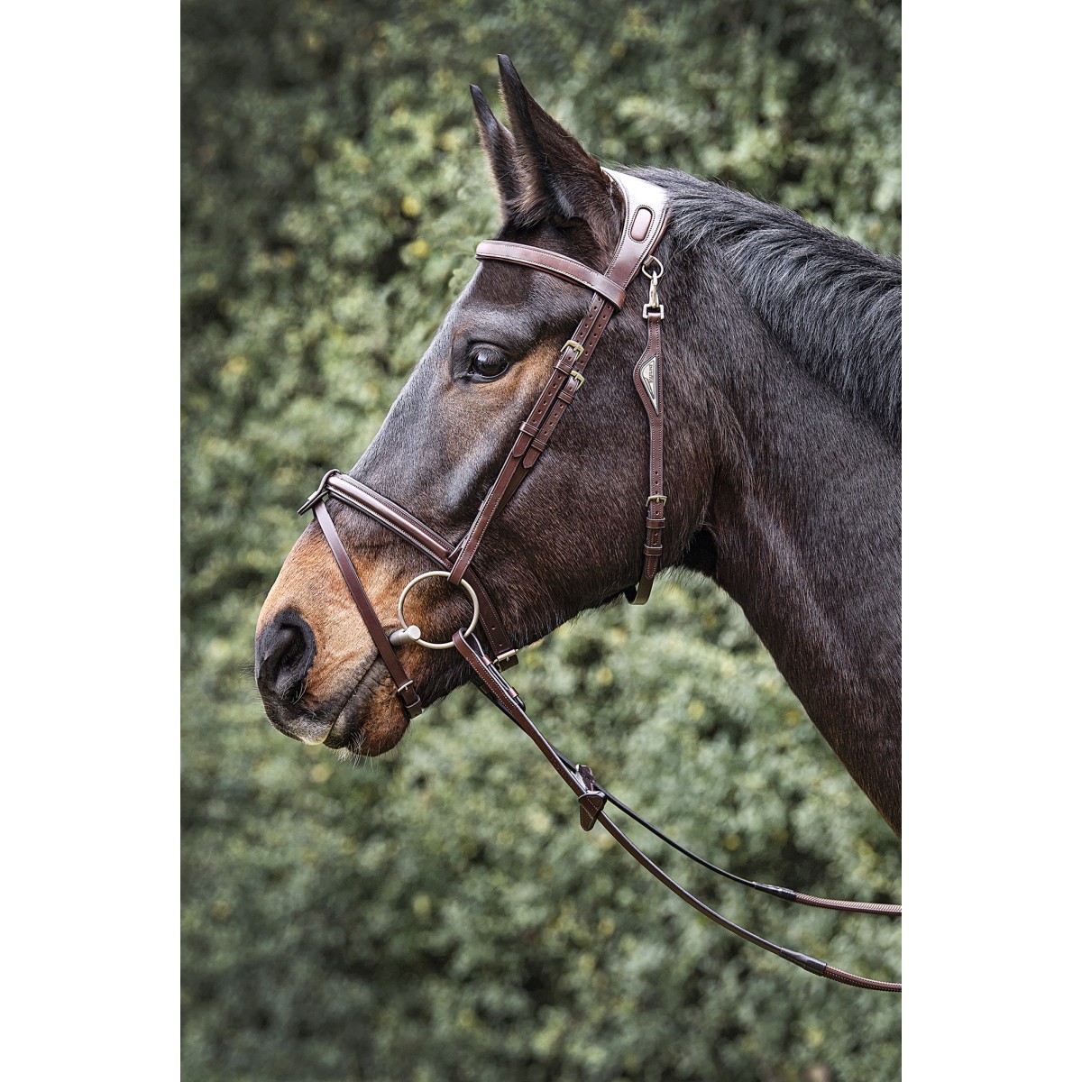 Equiline Anatomisk Trense JP