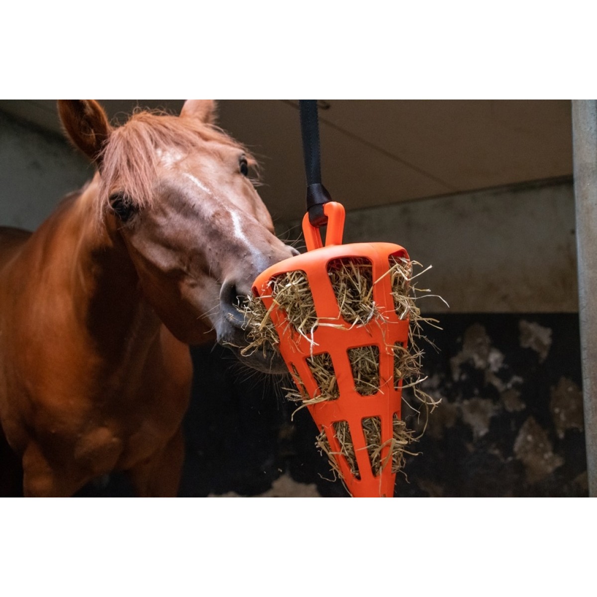 Hay Slowfeeder Fun and Flex Gulerod