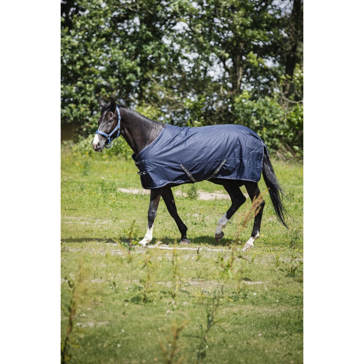 HorseGaurdLandon1200D100GOvergangsdkken-01