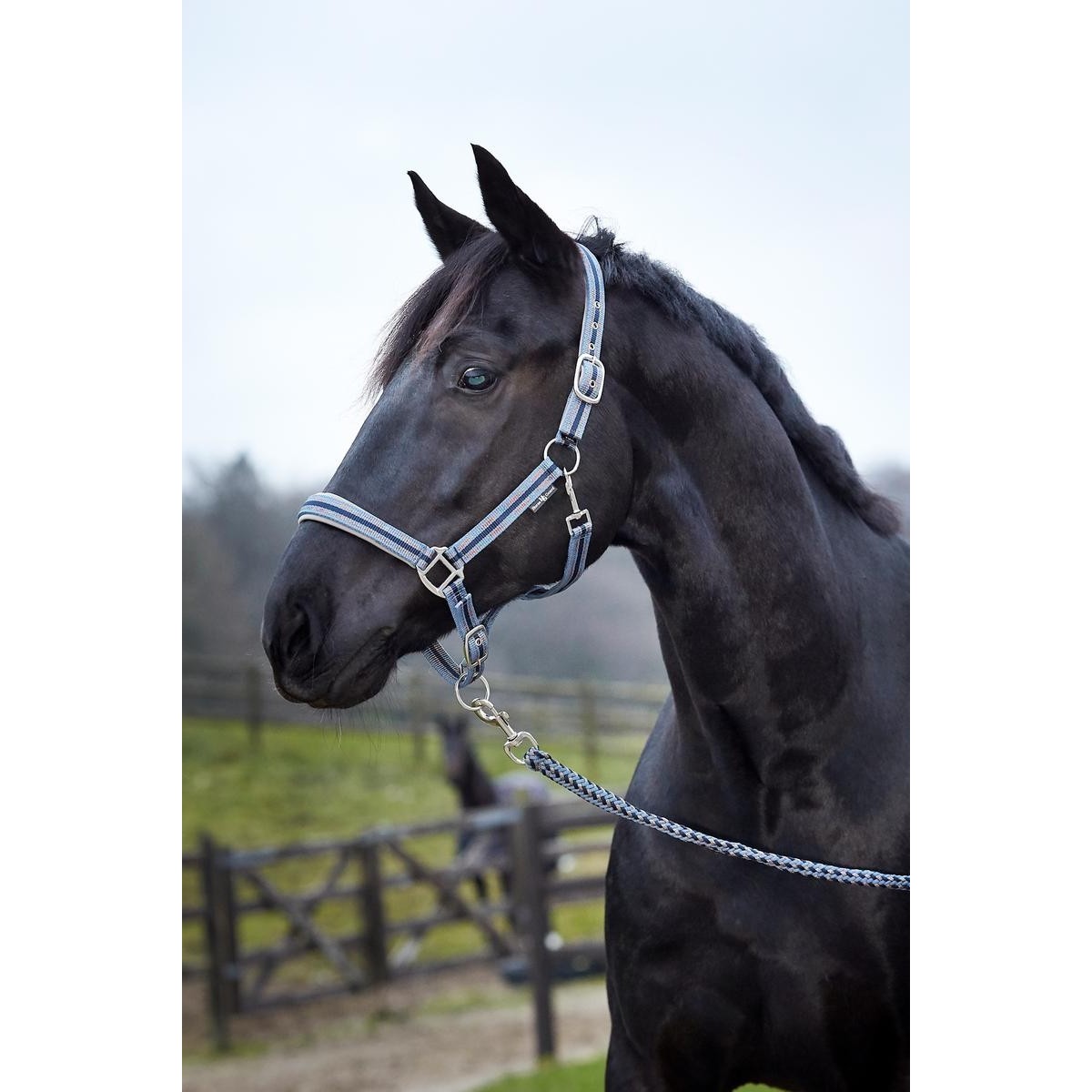 HorseGuard Grime Hip