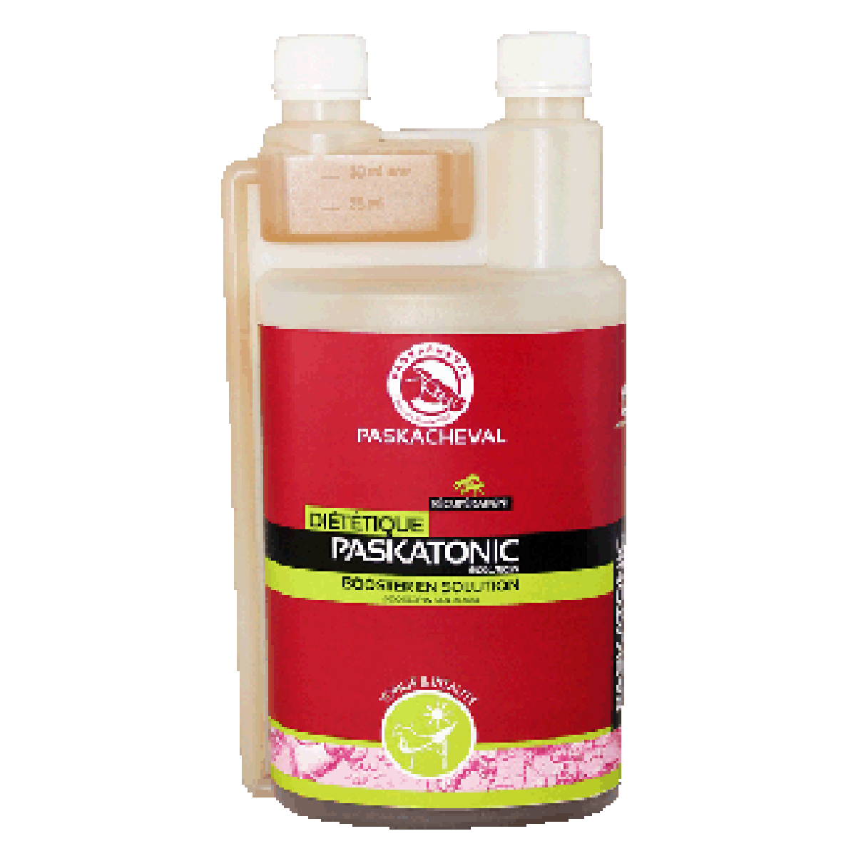 Paskacheval Paskatonic
