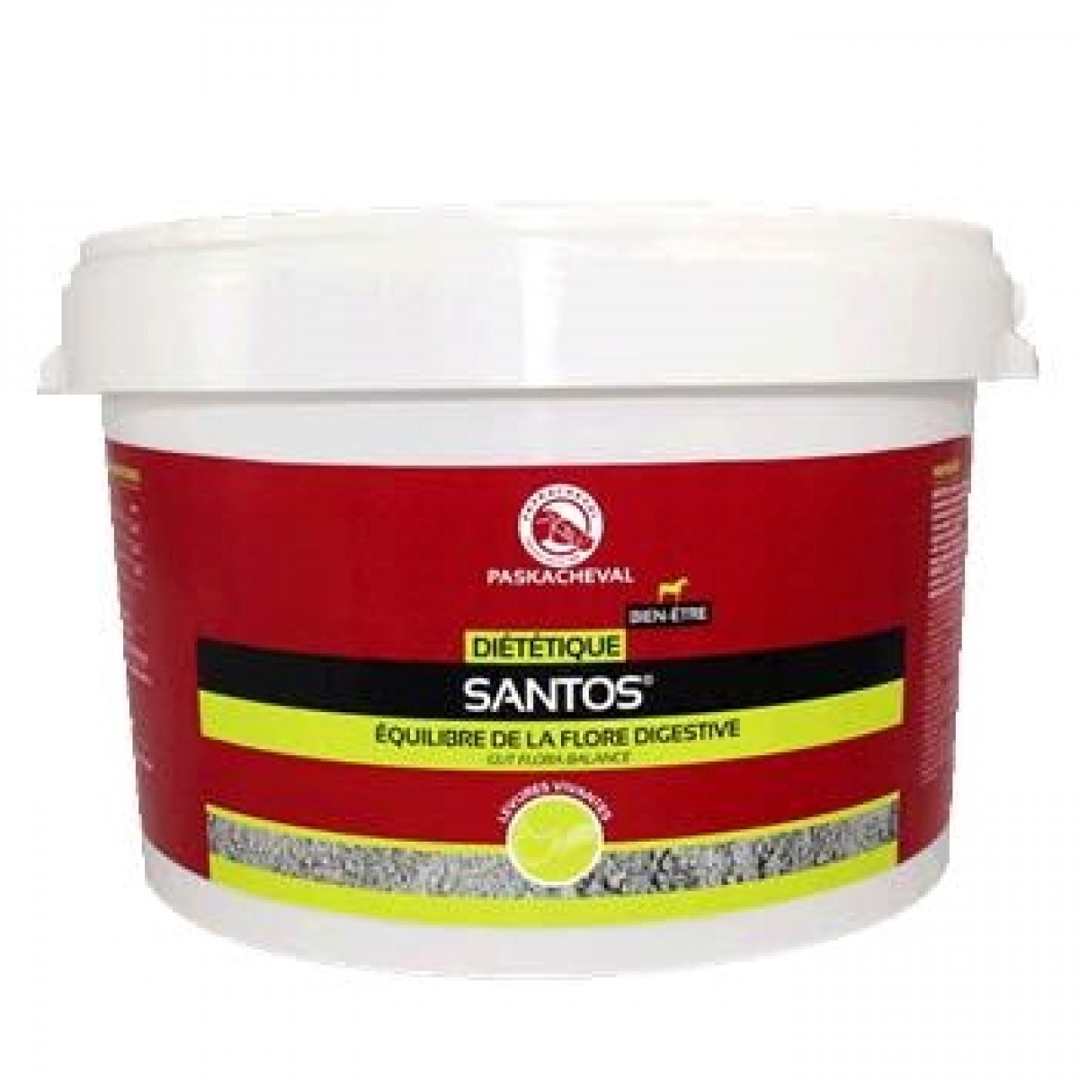 Paskacheval Santos
