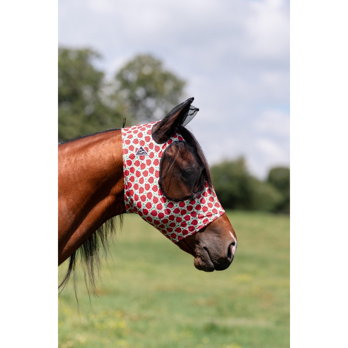 PCComfortFlyMask-00