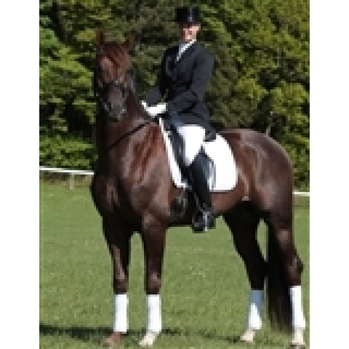 Rider by Horse New Antislip underlag