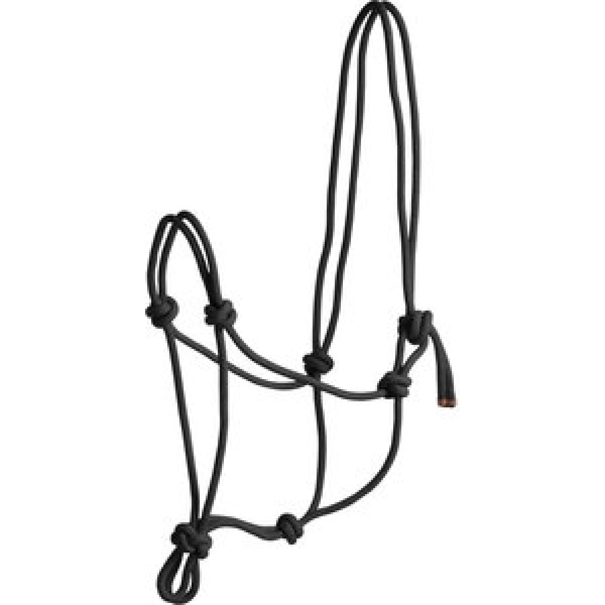Horsemanship rebgrime