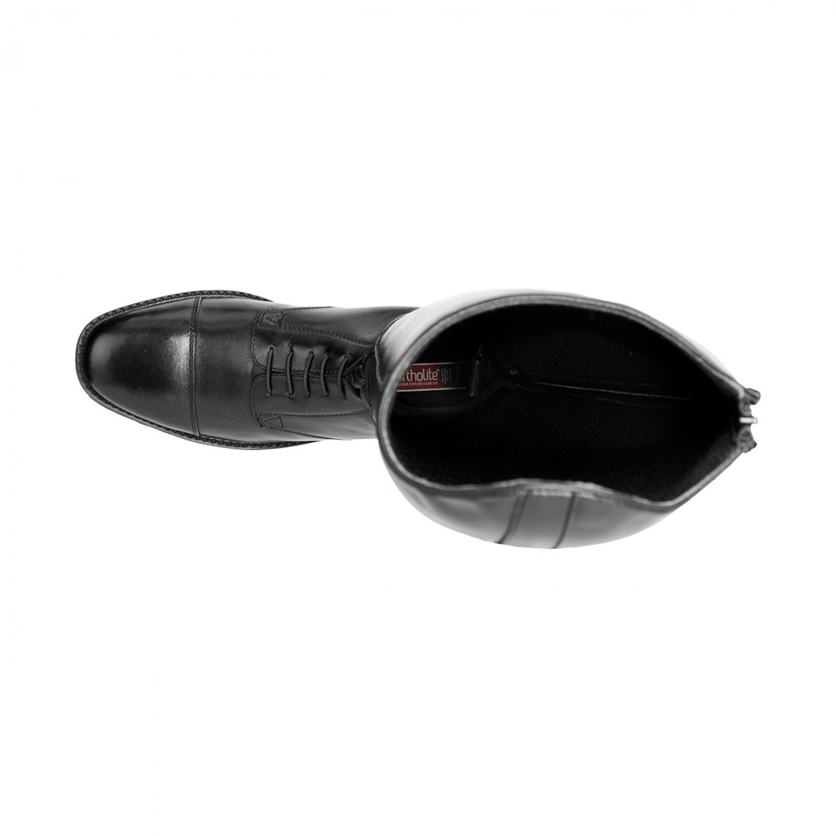 SuedwindCurvylderridestvler-01