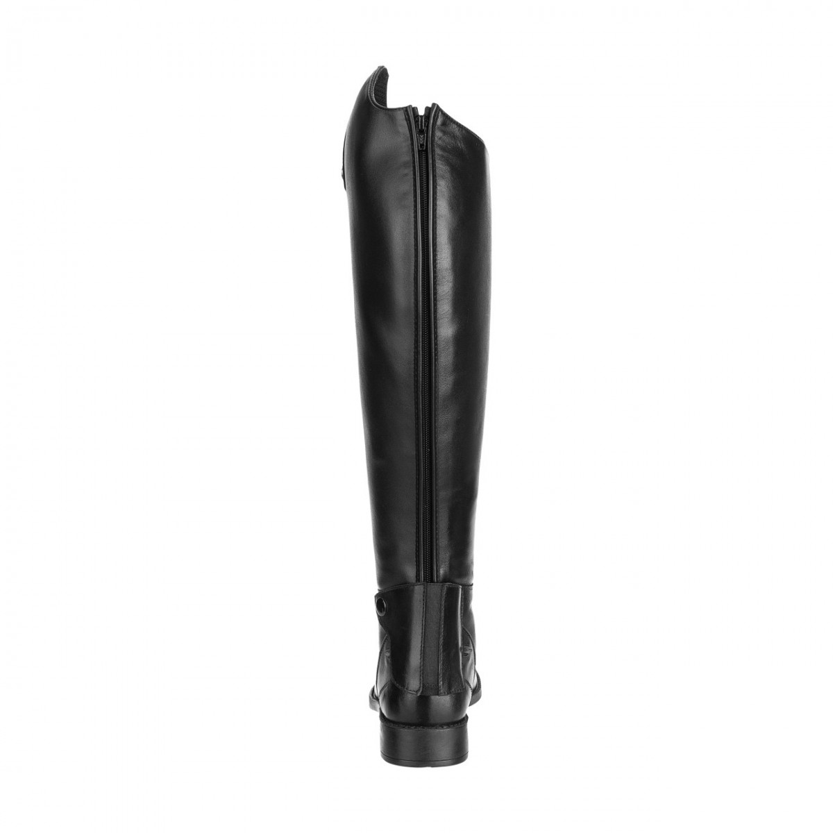 SuedwindCurvylderridestvler-01