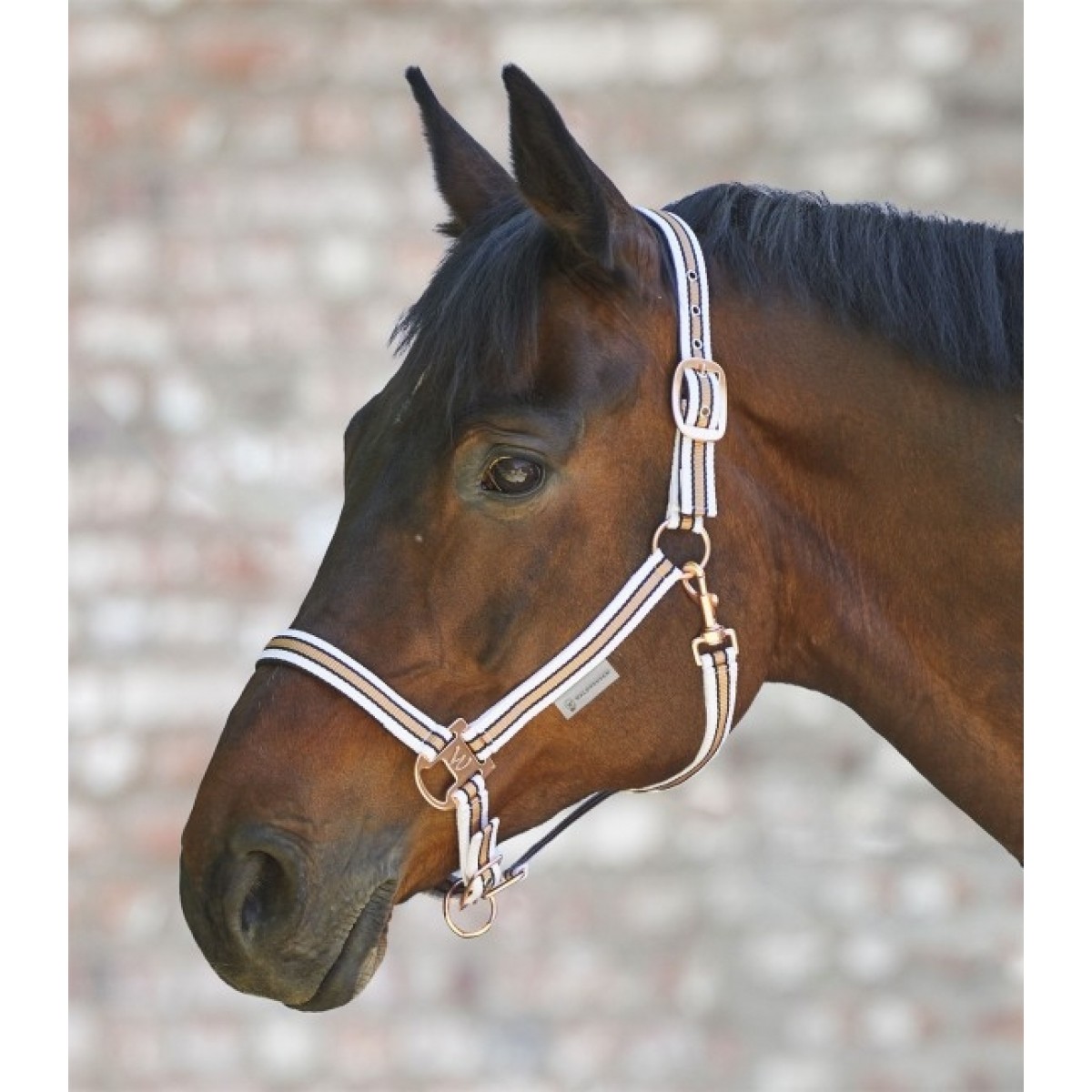 Waldhausen Heste Grime Shine Hvid/Rosegold