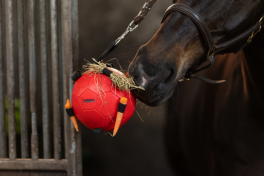 FunPlayBall-20
