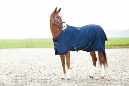 HorseGuardRegnDkken0g-20