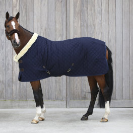 KentuckyShowRug160G-20