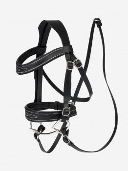 LeMieuxHobbyHorseTrense-20