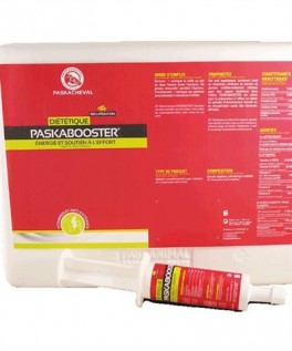 PaskachevalBooster-20