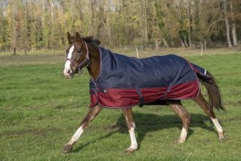 Equitheme Overgansdækken Highneck 150 Gram Navy/Bordeaux EquithemeOvergansdkkenHighneck150GramNavyBordeaux-20