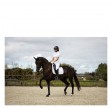 BR dressur underlag Ivory