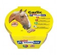 Horslyx Garlic