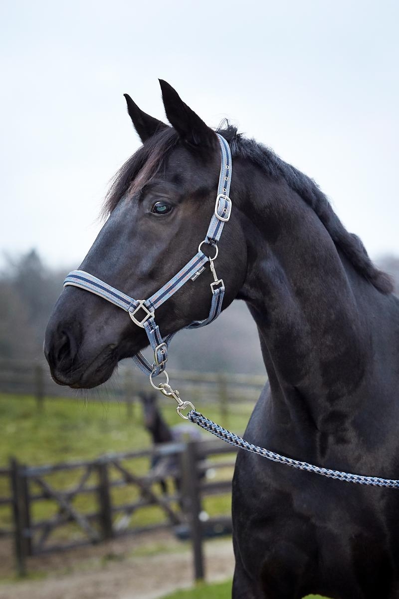 Horseguard Grime Hip
